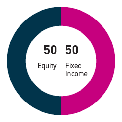 50% equity 50% fixed income