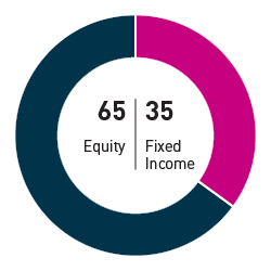 65% equity 35% fixed income