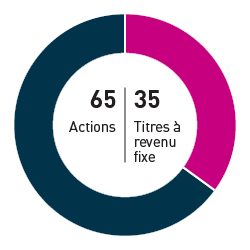 65% Actions 35% Titres à revenu fixe