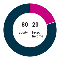 80% equity 20% fixed income