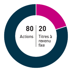 80% Actions 20% Titres à revenu fixe