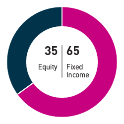 35% equity 65% fixed income