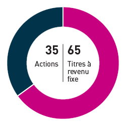 35% Actions 65% Titres à revenu fixe