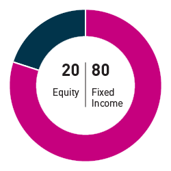 20% equity 80% fixed income