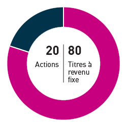 20% Actions 80% Titres à revenu fixe