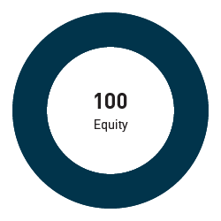 100% equity